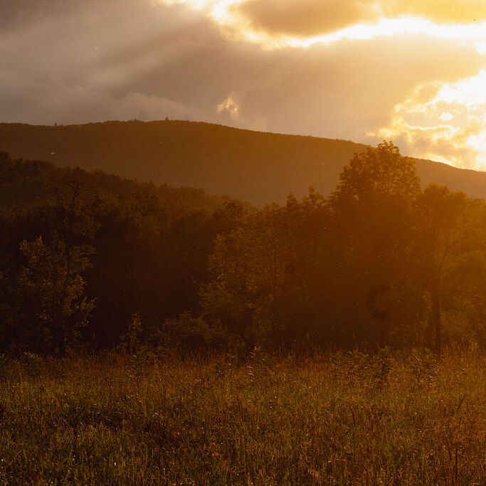 Dinner, Democracy, and Dancing: A Summer Fundraiser for Greenagers - logo